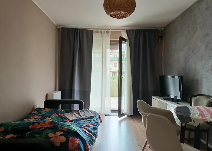 Maestro Z Tarasem I Garażem * Wrocław