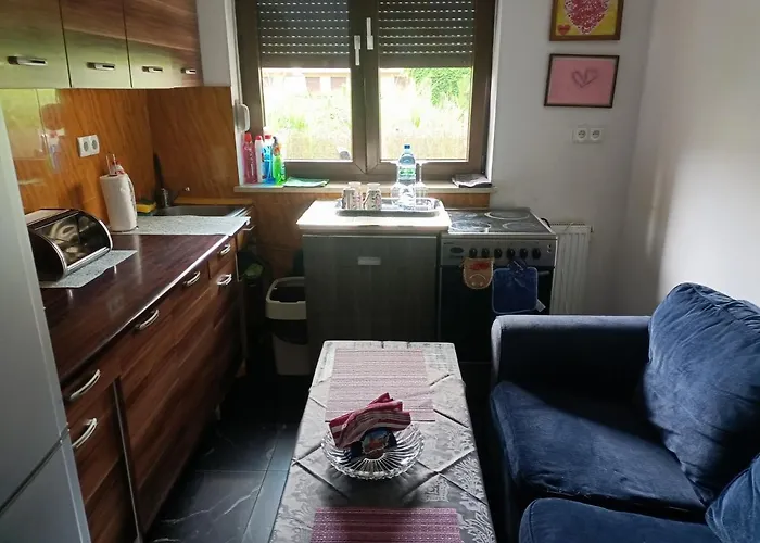 Maestro Z Tarasem I Garażem Apartament Wrocław