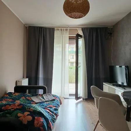 Maestro Z Tarasem I Garazem * Breslavia